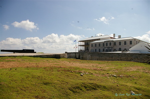 20110503164917-imgp0031