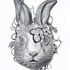 20110503174041-rabbits