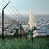 20110503182635-natgeorge_tower_3