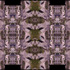 20110503194123-digital_natgeorge_3