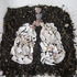 20110503232958-shell_lungs