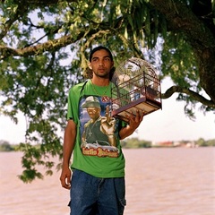 Birdman #21 Paramaribo Suriname,Jacquie Maria Wessels