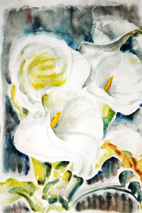 20110504074238-kale__2010