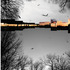 20110504095044-young_sam