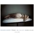 20110505091257-eblast-for-web-color