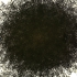 Amyx__10000_dice_rolls_sm
