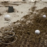 20110505184908-armory11