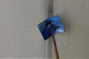 20110506091725-_mg_2253
