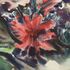 20110506102050-db_kushner__cannas_detail
