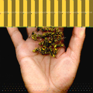 20110506164338-sm_wasp-2
