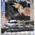 20110507054317-estesm_losthorizon_34