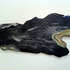 20110507145254-ll_amoeba2