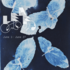 20110507154755-leaf-cloud-down-400px