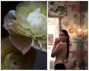 20110509103846-kat-flower-dyptich