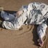 20110509122603-dionweb