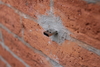 20110509144031-deaddrops1