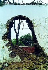 Demolition,Zhang Dali