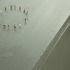 20110510000425-untitled