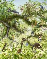 ,Isabella Kirkland