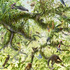 20110510033824-ikf0801_m