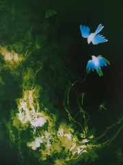 I know where we are,Wendy Small