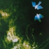 3_image