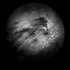 20110510105109-lunars20theblack
