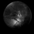 20110510110240-lunars05thereturn