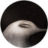20110510110737-thebeautifulbird_beautifullife