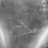 20110510111351-nomads_midascompanion_lrg