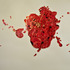 20110510151007-buell-blood_nest_ii