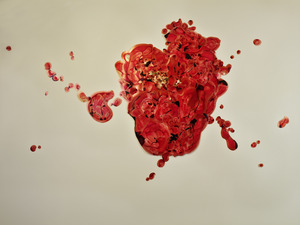 20110510151007-buell-blood_nest_ii