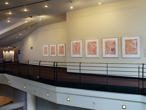 20110510182105-buell-fragile_interiors
