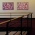 20110510182842-buell-manitees_cropped