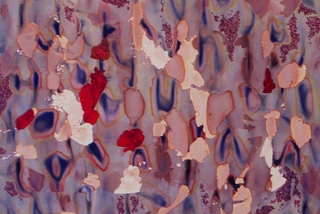 Untitled (Red and Blue),Priscilla Fowler