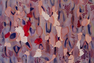 20110510184615-untitled__red_and_blue__cropped
