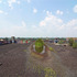 20110510191314-01_roosevelt_warehouse_roof_marsh_2008