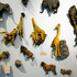 20110510192315-16_animals_land_mammals_of_the_savanna_and_sub-arctic