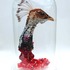 20110511002926-plume_asinger_right_side_2008
