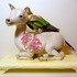20110511003802-asinger_love_bird_06