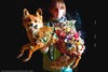 20110511005712-fox