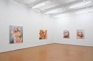 Installation View,Joan Semmel