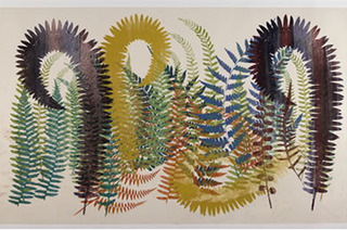 Asidium, Aspenium, Pteris,Philip Taaffe