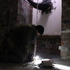 20110511111849-img_0997