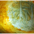 20110511235341-amber_nesting__detail_