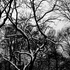 20110512083736-dsc_0149
