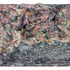 20110512094805-zach2_1