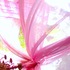 20110512114851-100_2328