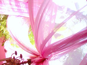 20110512114851-100_2328