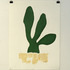 20110512115217-cactus3a